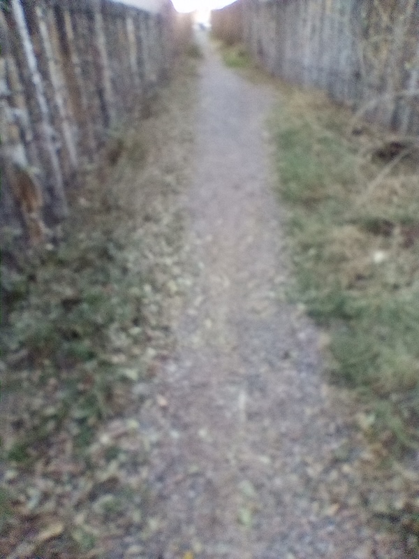 SPOOKLANE 2024 SLUTH DUSK BLUR