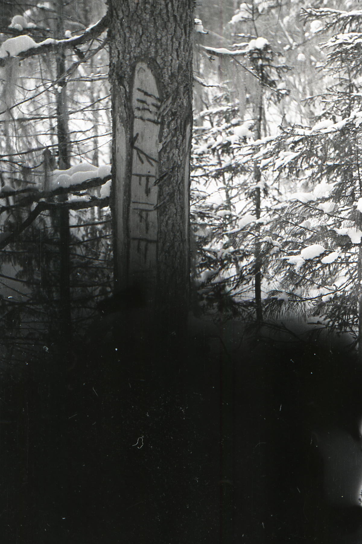 DYATLOV-SLOBODIN-DARK