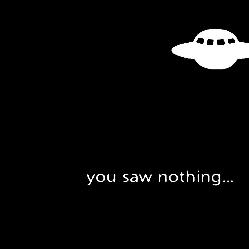 UFO YOU SAW NOTHING