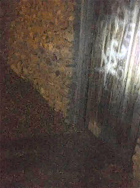 DOOR UNTITELD SPOOKLANE