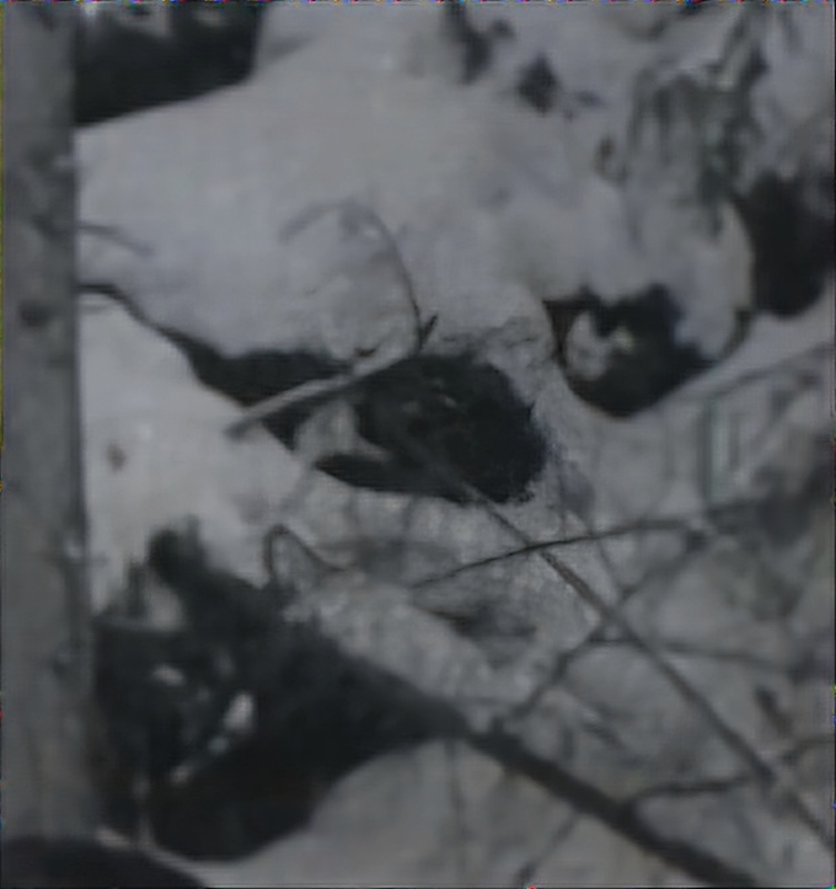 YETI MAYBECZECH PHOTO FACE