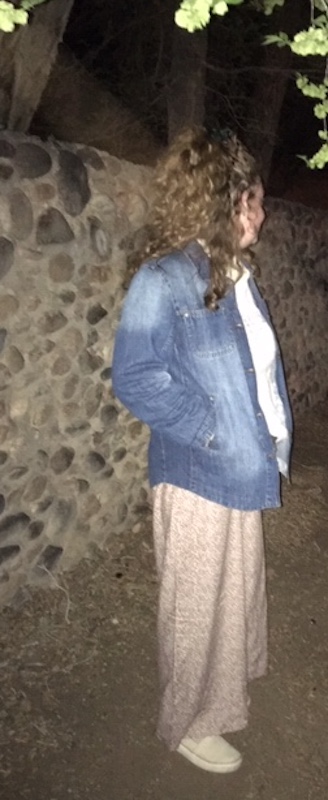 LOOKINDOWNLANE2022-TESS-PA